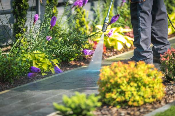 Best Spring Cleaning  in Monarch Mill, SC